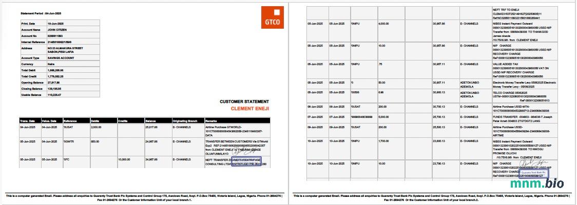 Nigeria dostęp do wyciągu z konta bankowego Word i szablon PDF